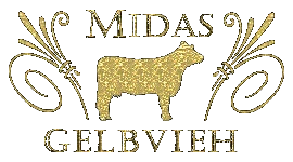 Violet Hills Charolais Logo